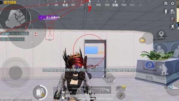 和平精英《牛牛》辅助